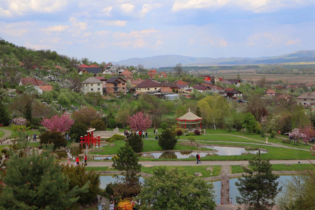 Sukces online Biedronka Home - ponad 3 miliony odwiedzin